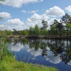 Moorsee im Moor Neuhaus