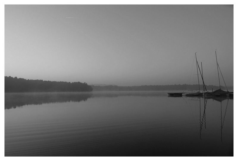 Moorsee im Nebel