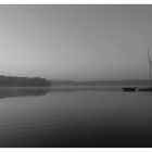 Moorsee im Nebel