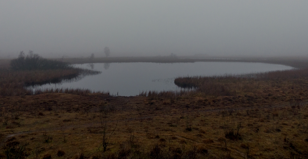 Moorsee im Nebel