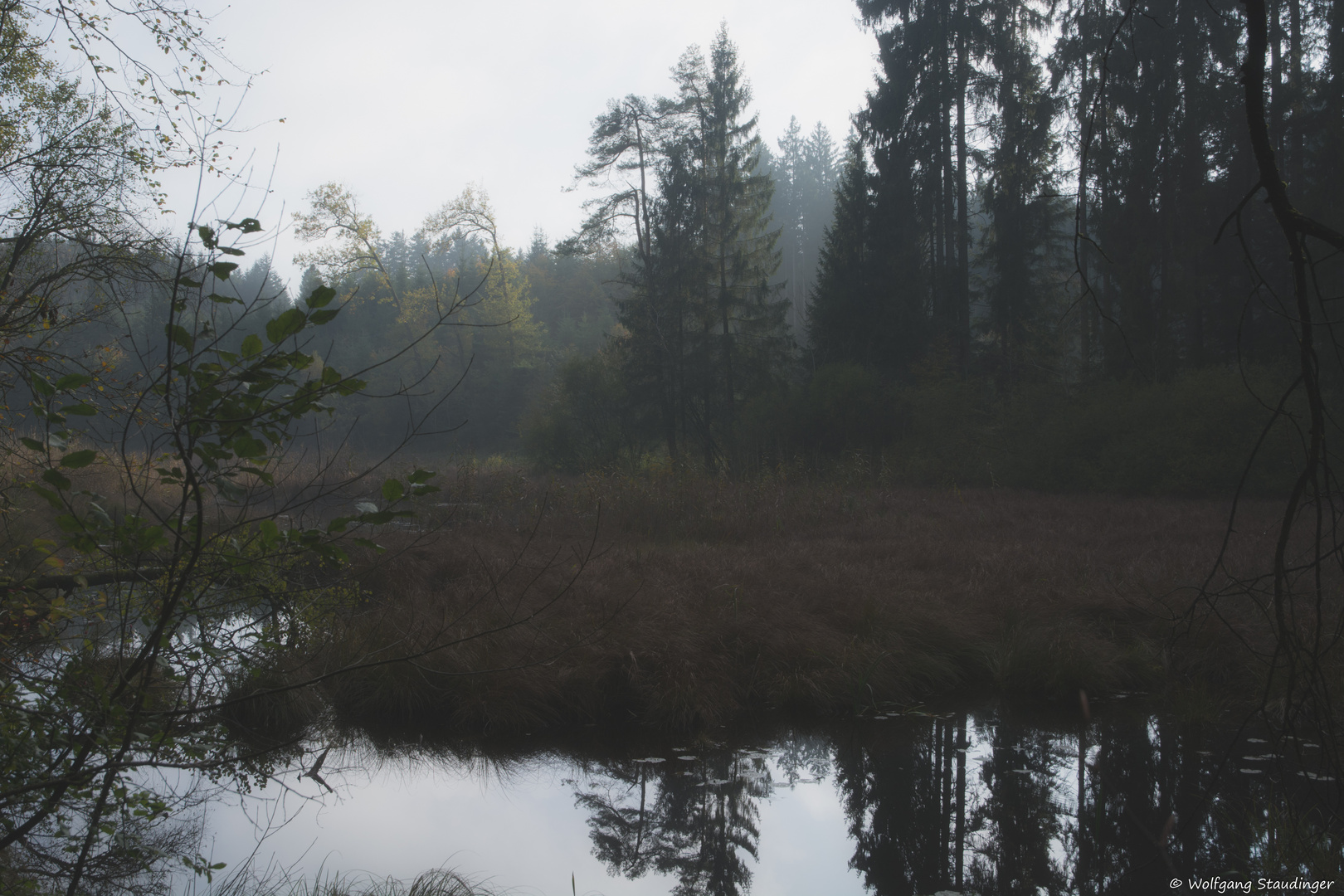 Moorsee im Nebel