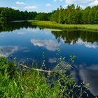 Moorsee im Roten Moor 