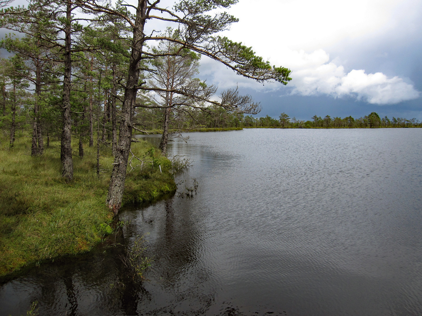 Moorsee im Store Mosse Nationalpark