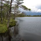 Moorsee im Store Mosse Nationalpark