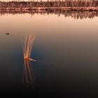 Moorsee im toten Moor