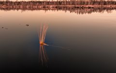 Moorsee im toten Moor