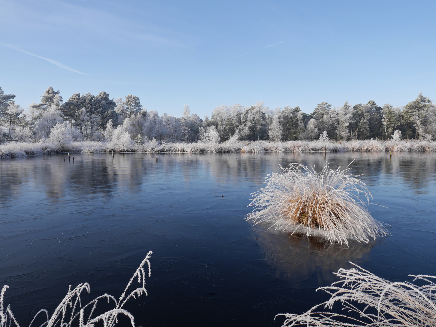 Moorsee im Winter