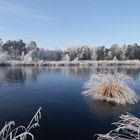 Moorsee im Winter