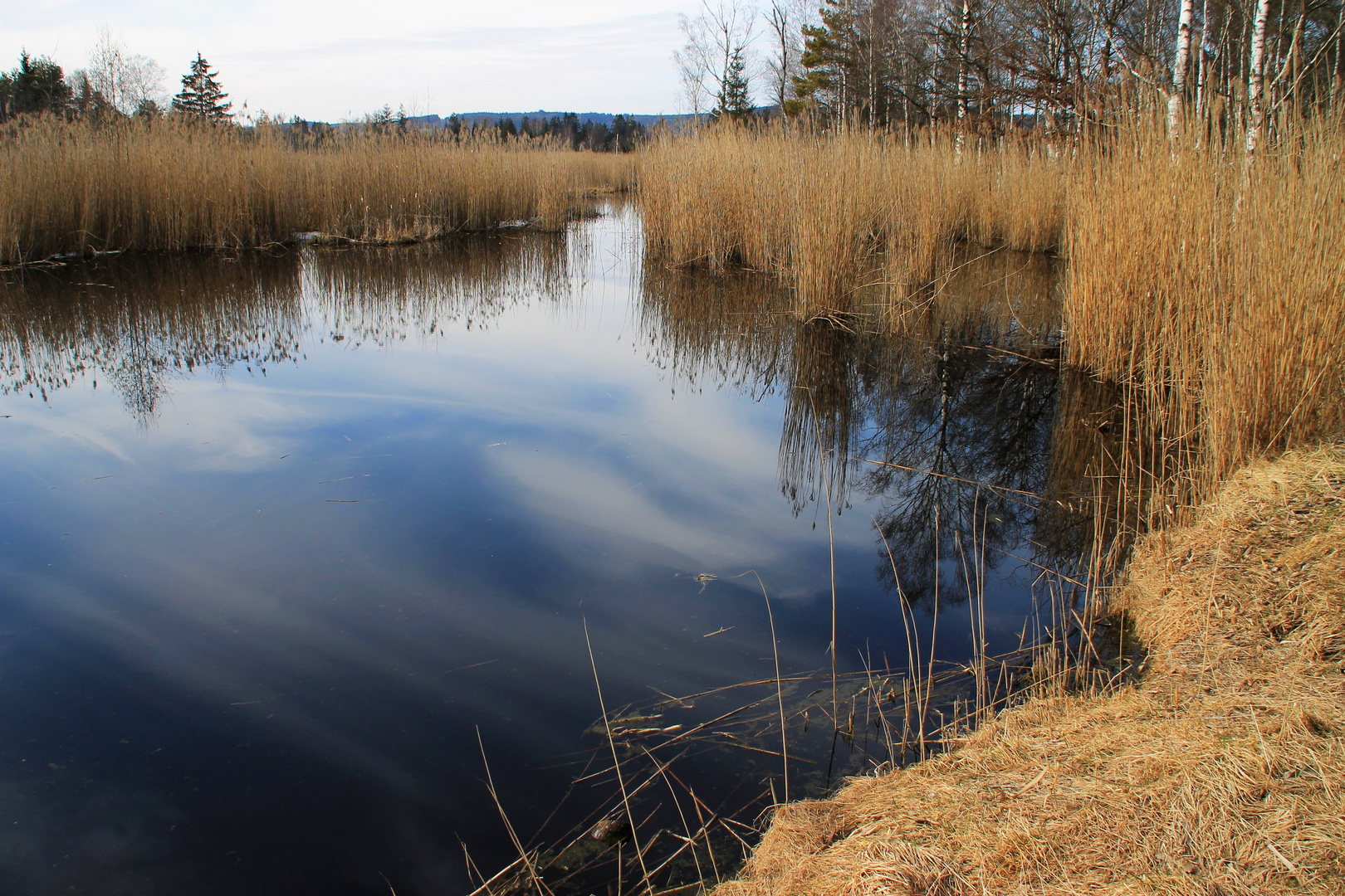 Moorsee im Wurzacher Ried