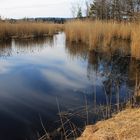 Moorsee im Wurzacher Ried