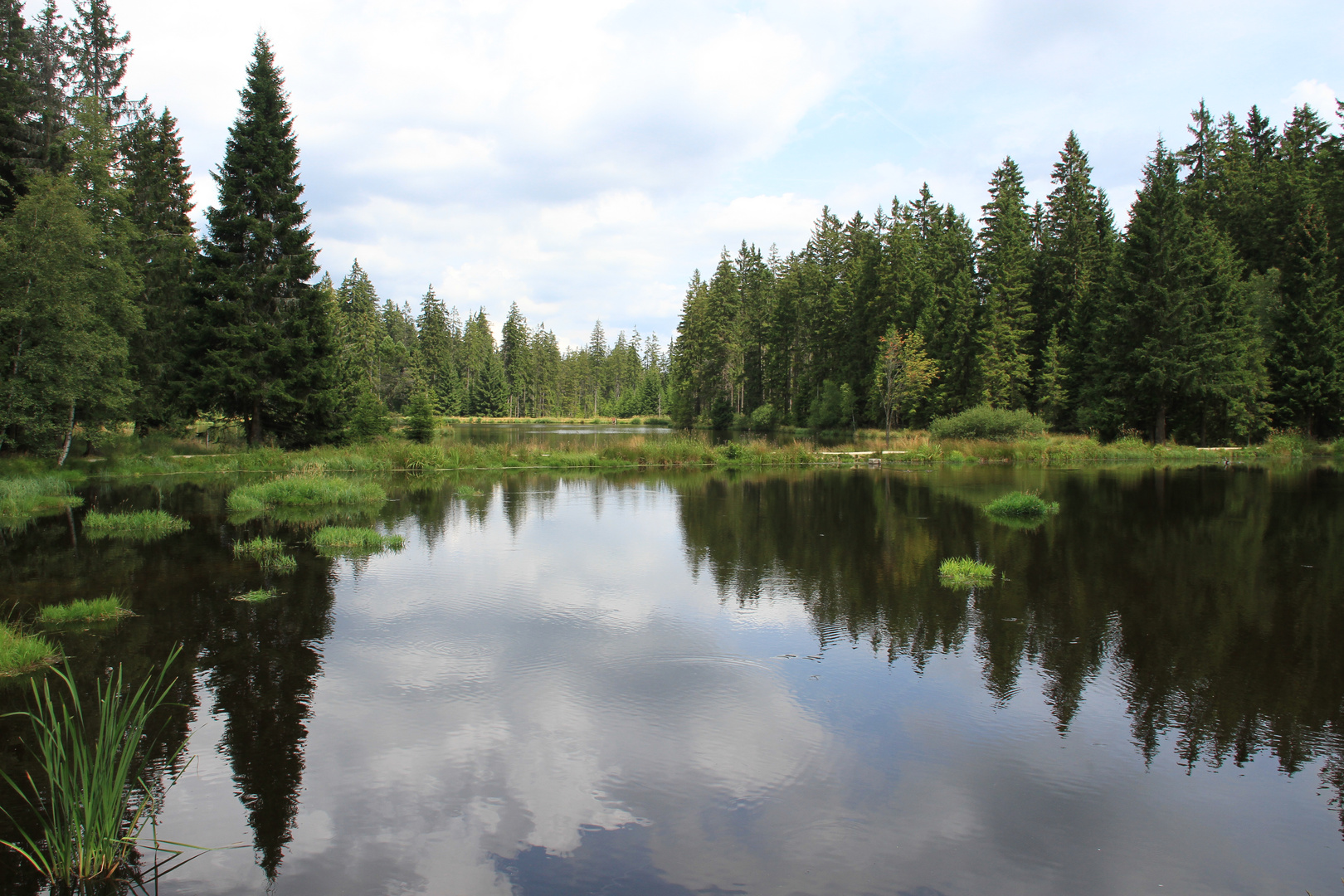 Moorsee in Glatzen, Tschechien