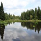 Moorsee in Glatzen, Tschechien