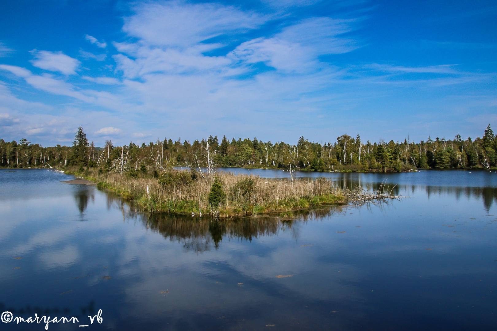 Moorsee in Pfrungen