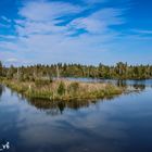 Moorsee in Pfrungen