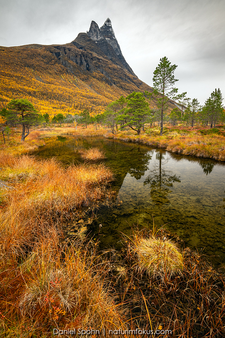 Moorsee Nordnorwegen im Herbst