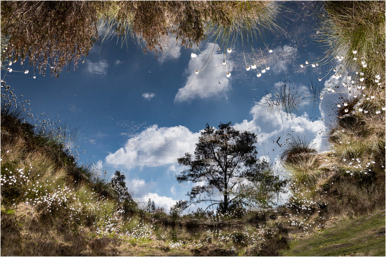 Moorsee (Spiegeldienstag 25.05.2021)