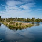 Moorseen bei Pfrungen