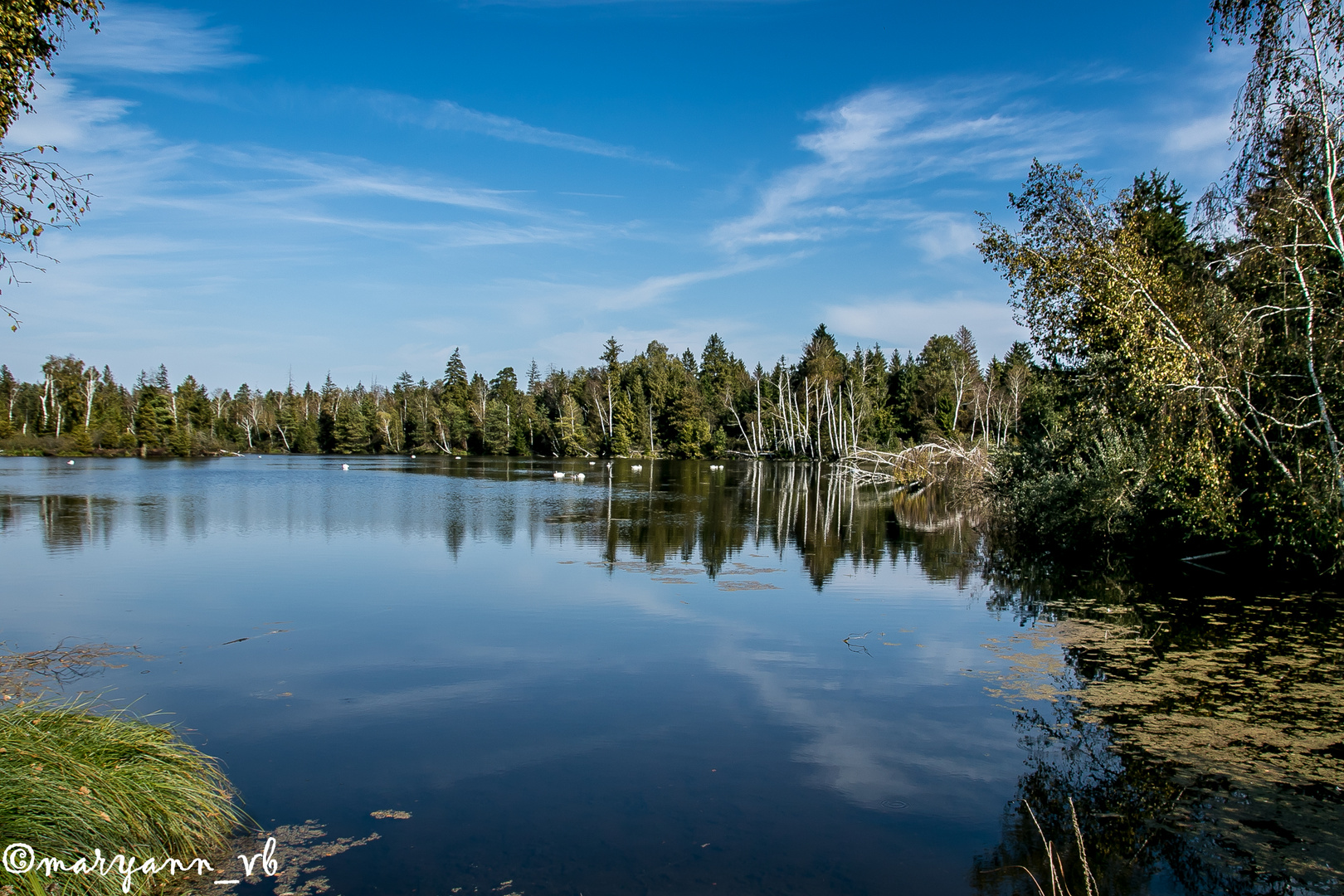 Moorseen bei Pfrungen