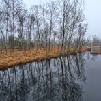 Moorteich-Spiegel