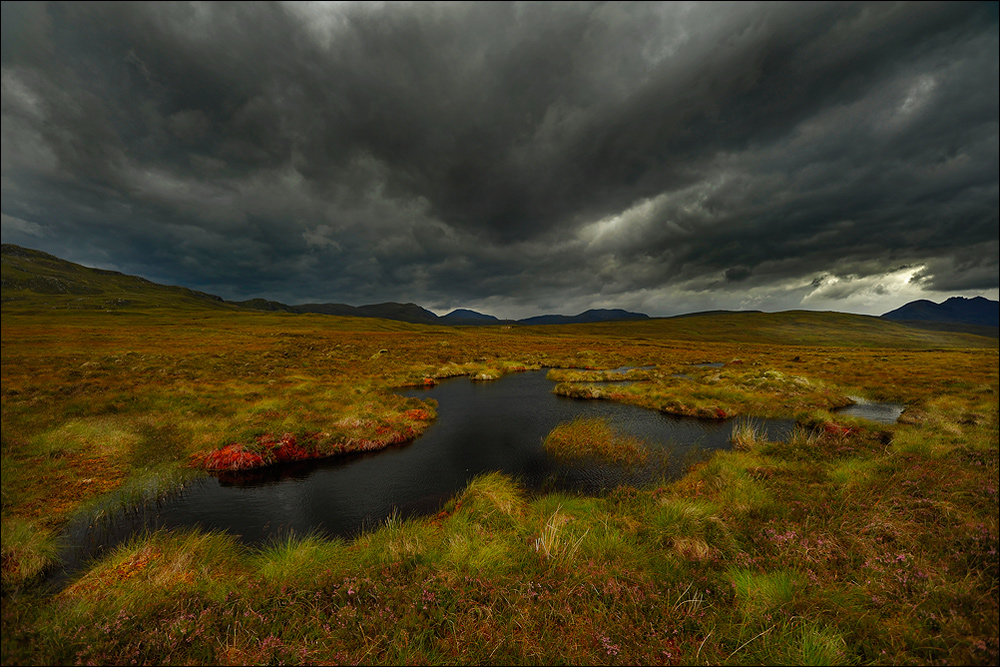 Moortümpel in den Highlands von  Hartmut WIMMER