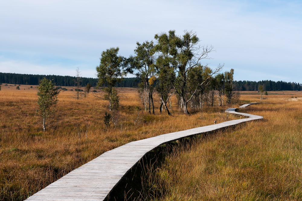 Moorwanderung