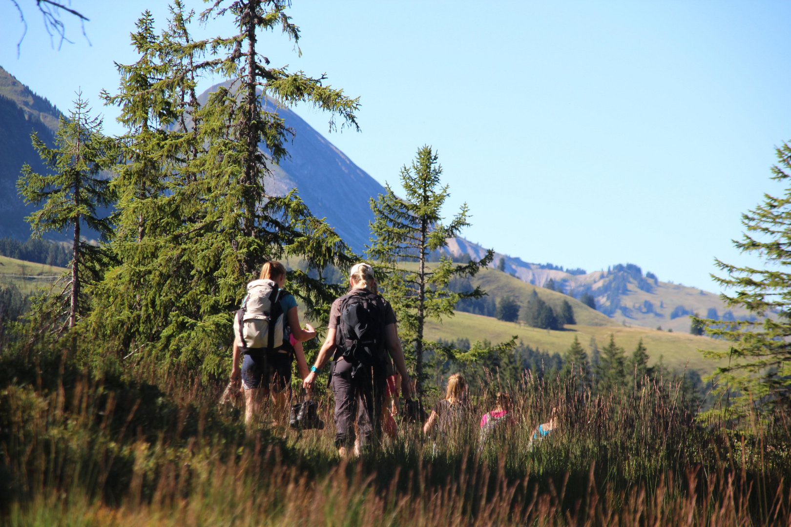 Moorwanderung