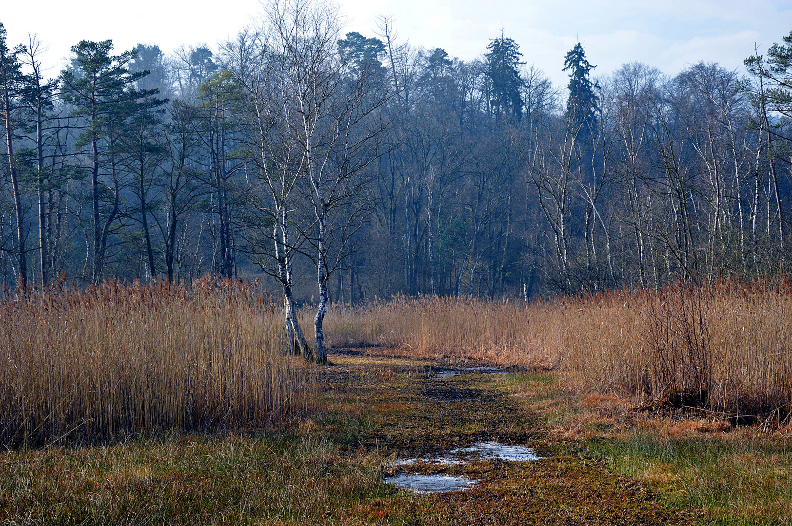 Moorweg