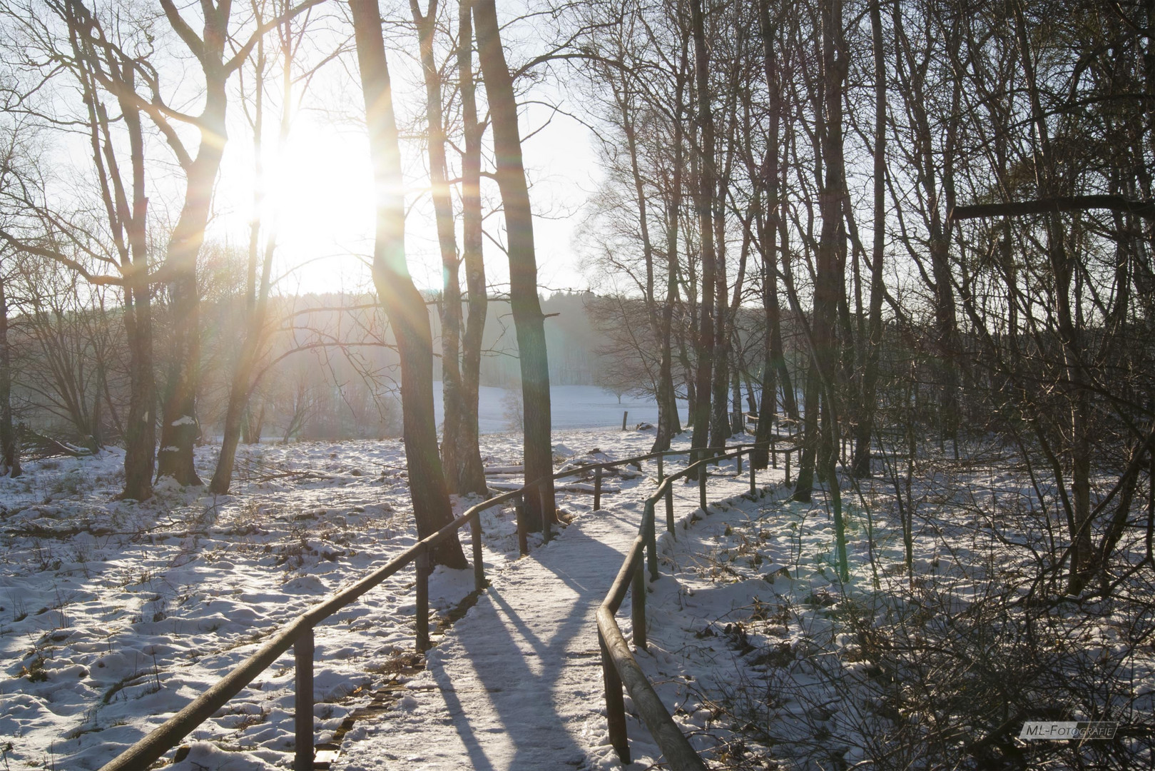 Moorweg im Winter