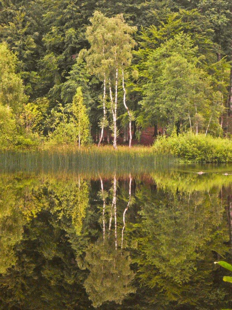 Moorweiher