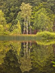 Moorweiher