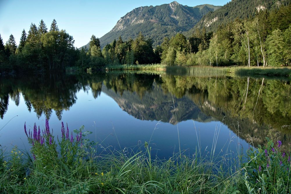 Moorweiher