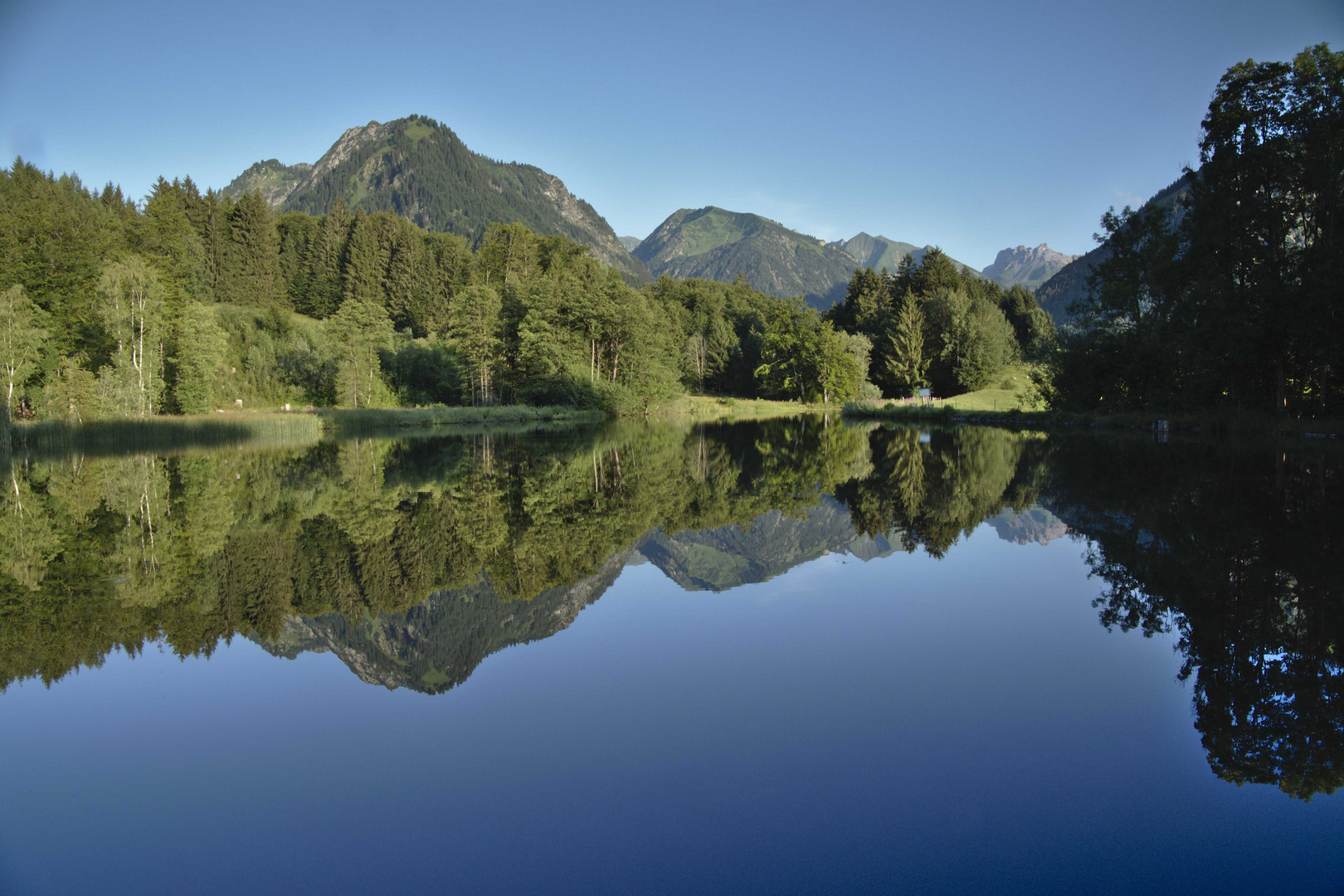 Moorweiher am Abend