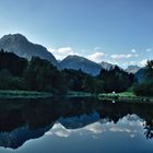 Moorweiher am frühen Morgen