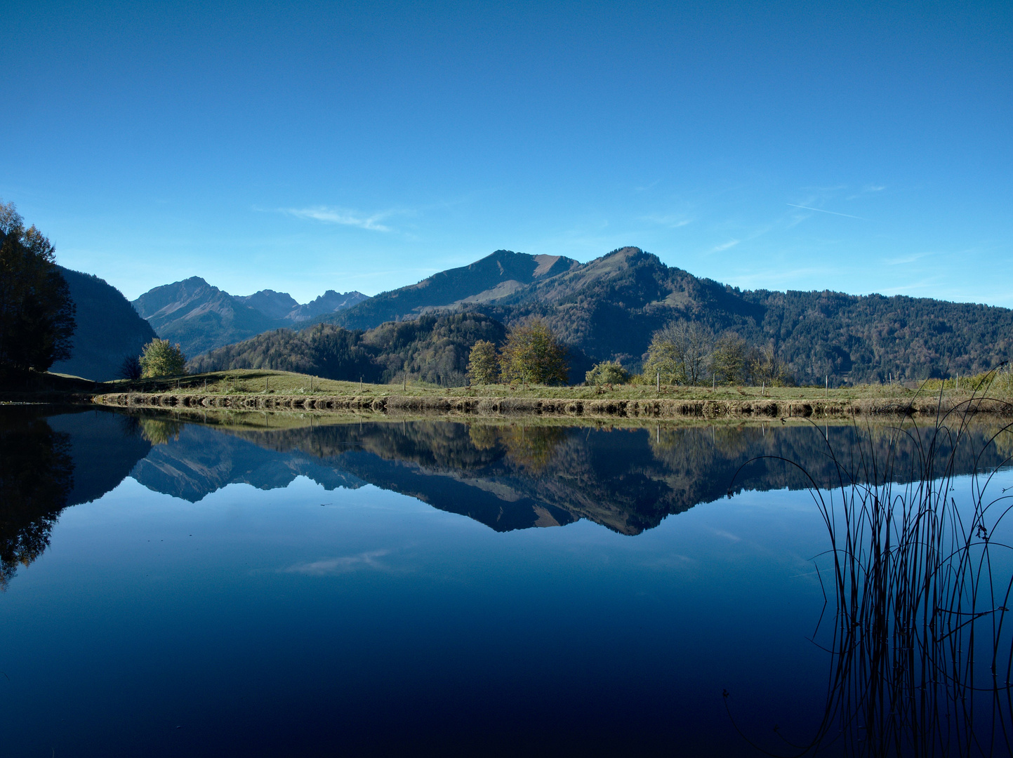 Moorweiher an einem kalten Herbstmorgen