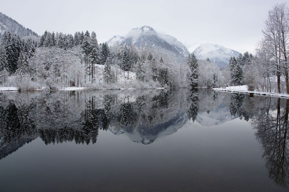 Moorweiher an einem Schneetag