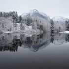 Moorweiher an einem Schneetag