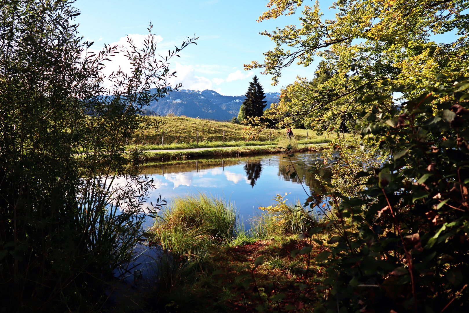 Moorweiher