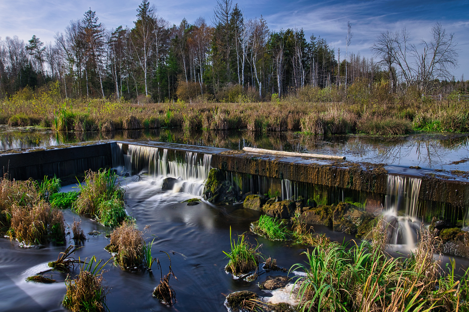 Moorweiher Bannwald