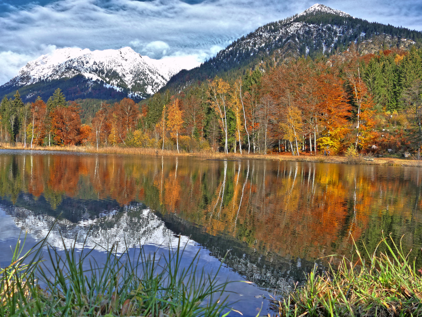 Moorweiher bei Oberstdorf