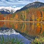 Moorweiher bei Oberstdorf