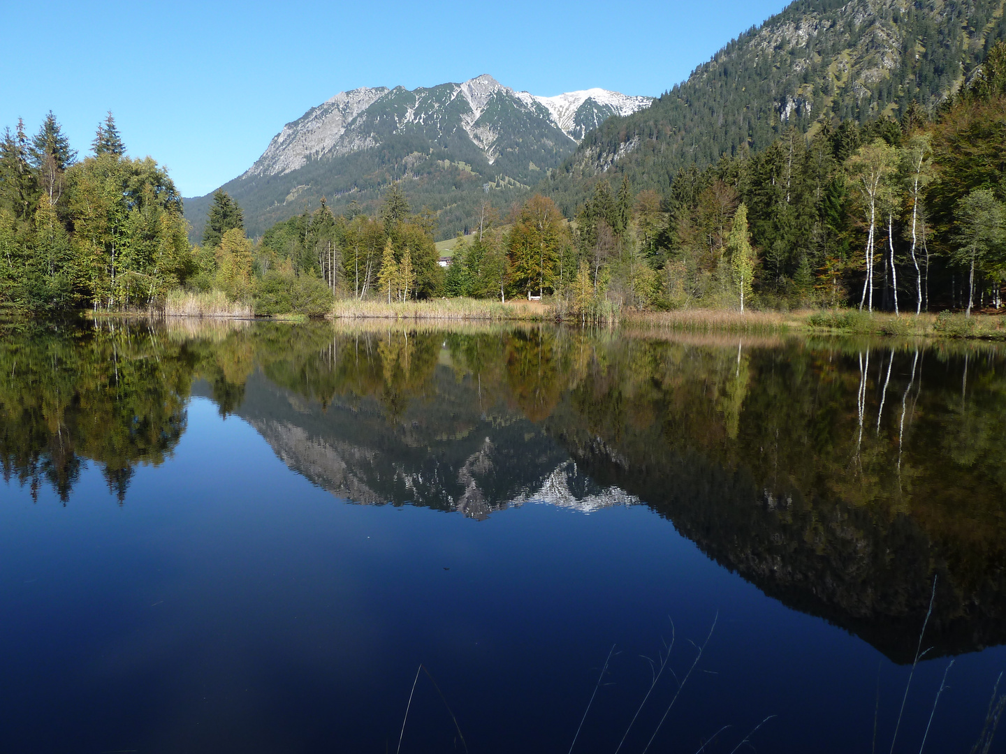 Moorweiher bei Oberstdorf