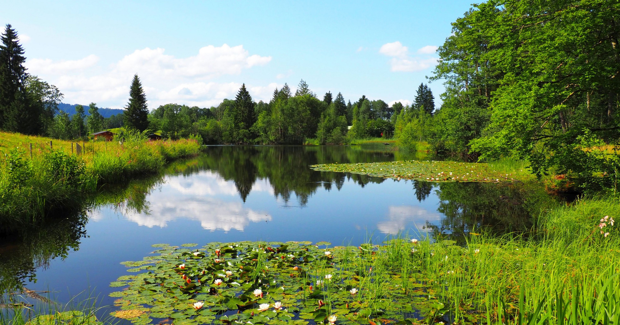 Moorweiher (bei Oberstdorf)