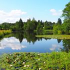 Moorweiher (bei Oberstdorf)