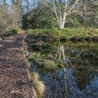 Moorweiher I