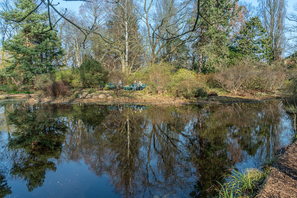 Moorweiher II