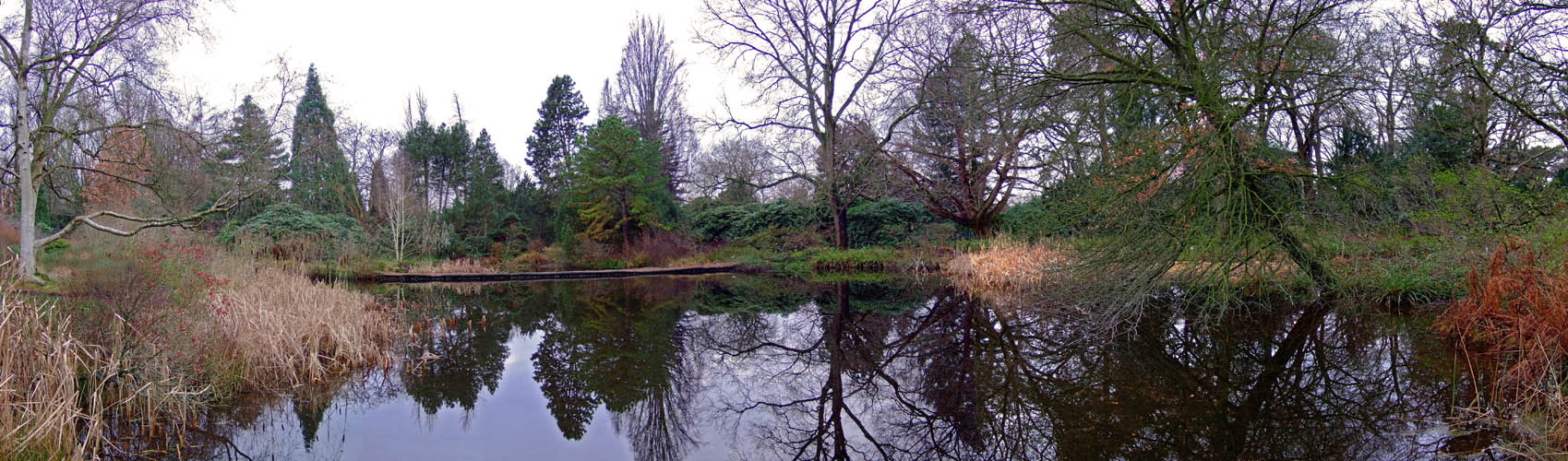 Moorweiher im Berggarten Hannover