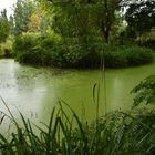 Moorweiher Im Berggarten Hannover