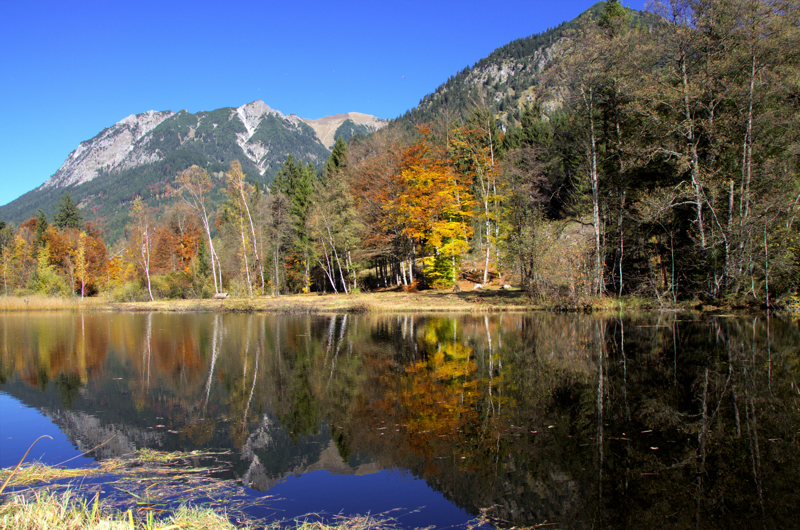 Moorweiher im Herbst