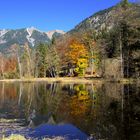 Moorweiher im Herbst