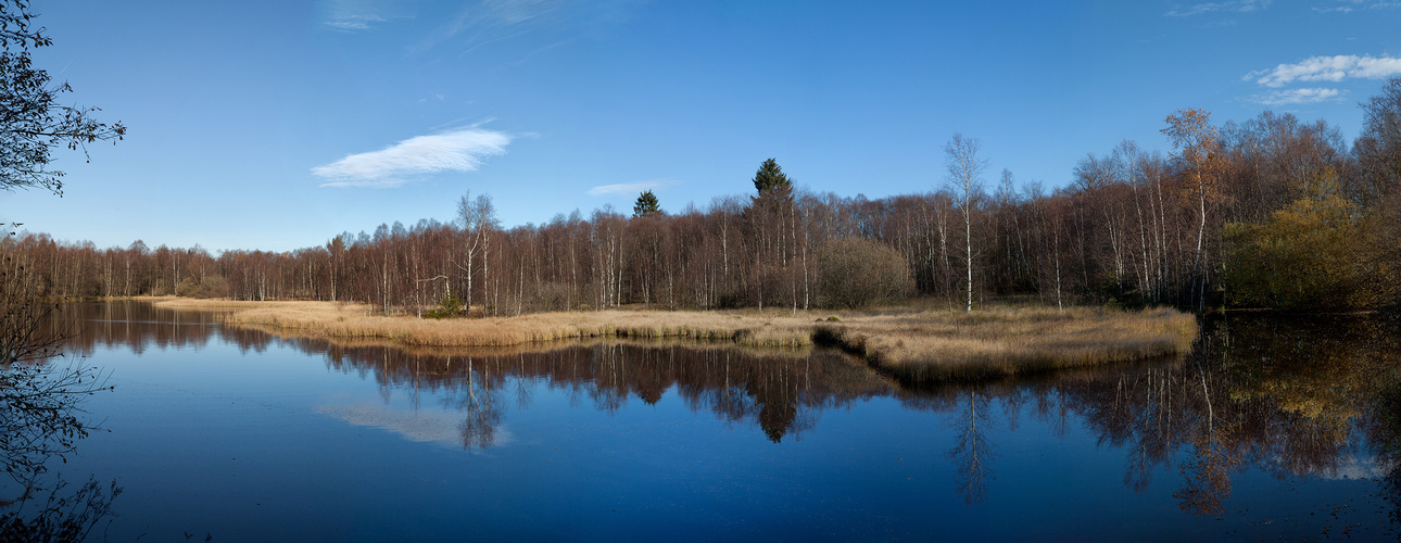 Moorweiher im roten Moor